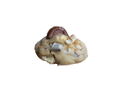 S’more Than a Feeling